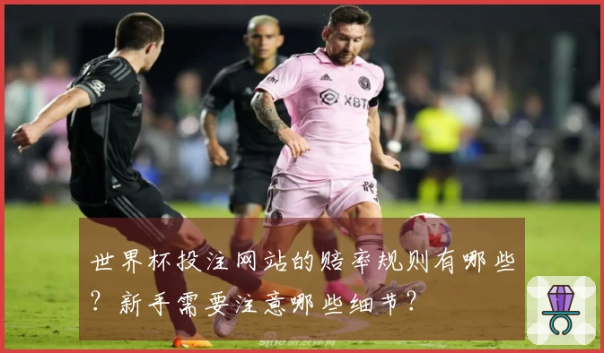 世界杯投注网站的赔率规则有哪些？新手需要注意哪些细节？