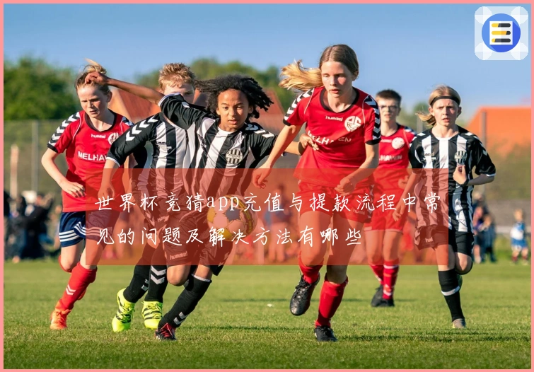 世界杯竞猜app充值与提款流程中常见的问题及解决方法有哪些