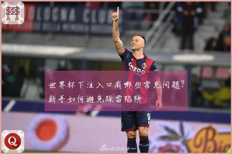 世界杯下注入口有哪些常见问题？新手如何避免踩雷陷阱