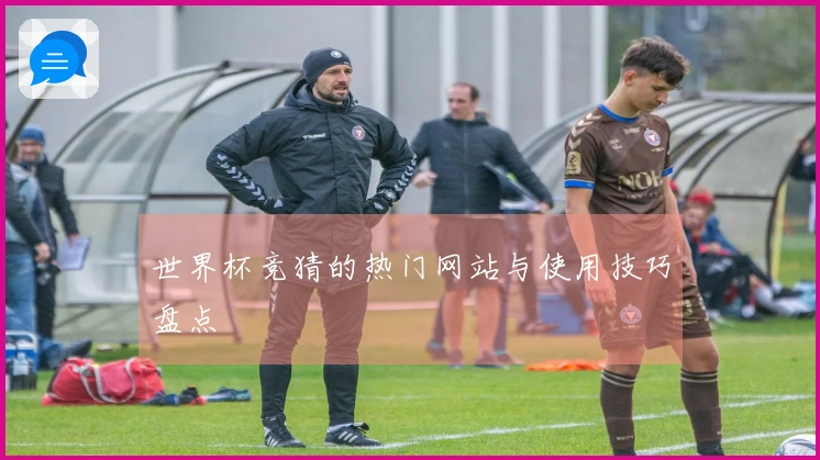 世界杯竞猜的热门网站与使用技巧盘点